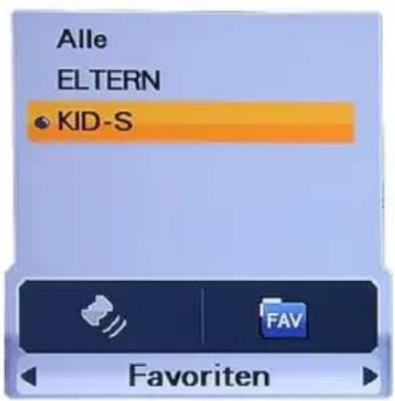Homecast HS3100 CIIR - Favoriten-Programmlisten - 1