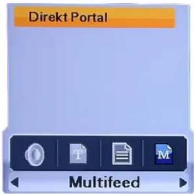 Homecast HS3100 CIIR - Multifeed - 1