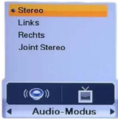 Homecast HS3100 CIIR - Audio-Modus - 1