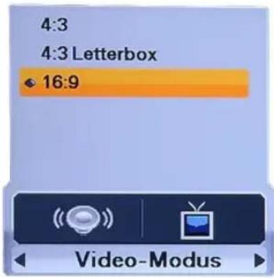 Homecast HS3100 CIIR - Video-Modus - 1
