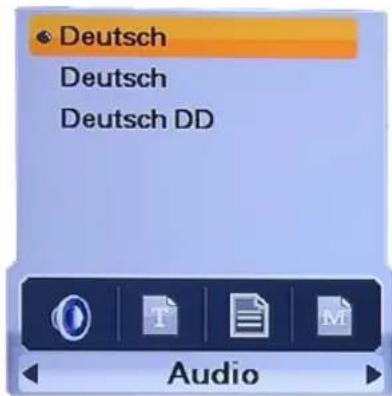 Homecast HS3100 CIIR - Audio-Sprachauswahl - 1