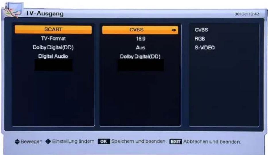 Homecast HS3100 CIIR - TV-Ausgang - 1