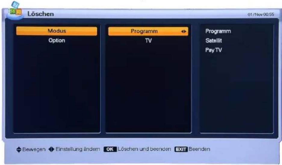 Homecast HS3100 CIIR - Löschen - 1