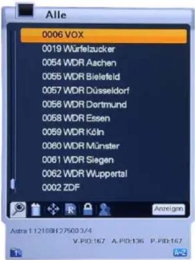 Homecast HS3100 CIIR - Programme – „Anzeigen“ - 2