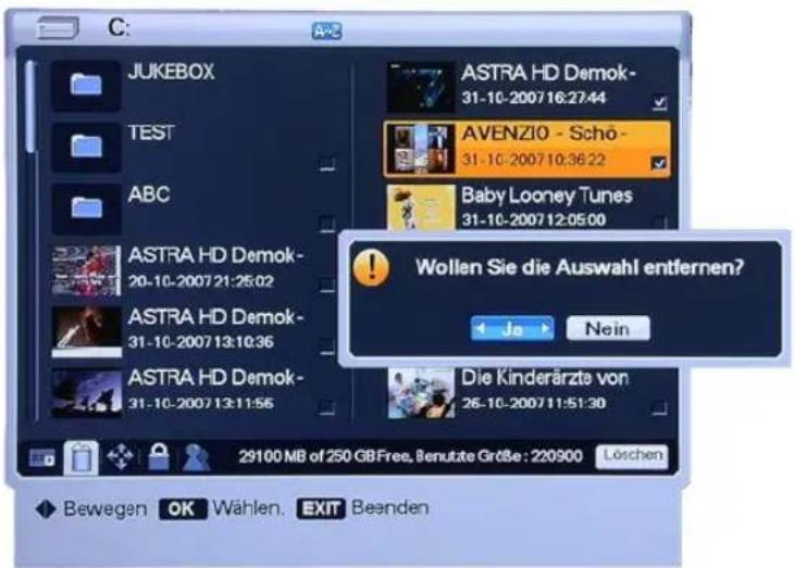 Homecast HS8500 CIPVR - Datei Information - 1