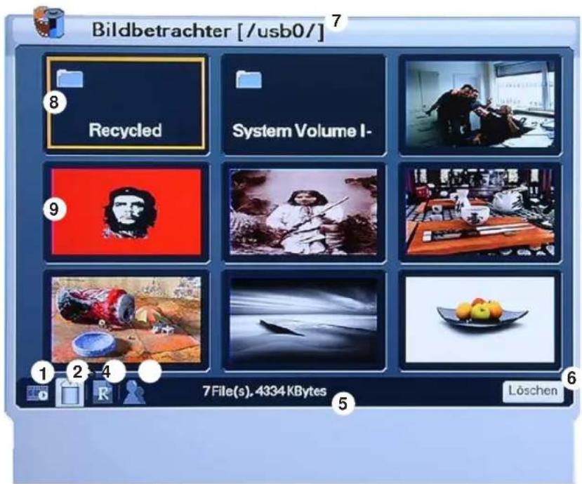 Homecast HS8500 CIPVR - Bildbetrachter - 1