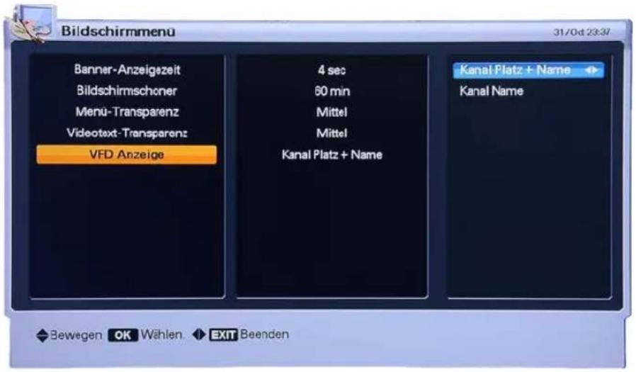 Homecast HS8500 CIPVR - Bildschirmmenü - 1