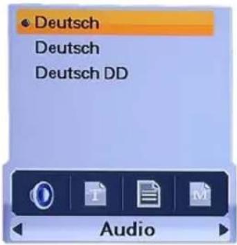 Homecast HS9000 CIPVR - Audio-Sprachauswahl - 1