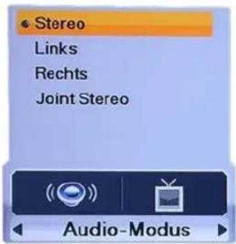 Homecast HS9000 CIPVR - Audio-Modus - 1