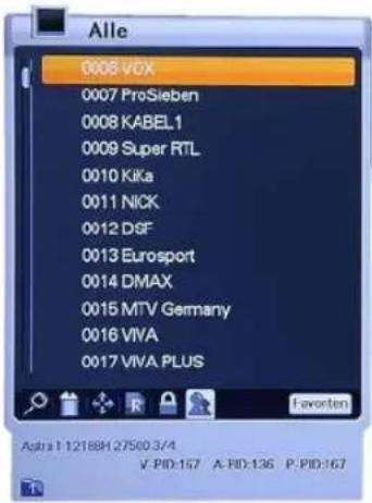 Homecast HS9000 CIPVR - Programme – „Anzeigen“ - 1
