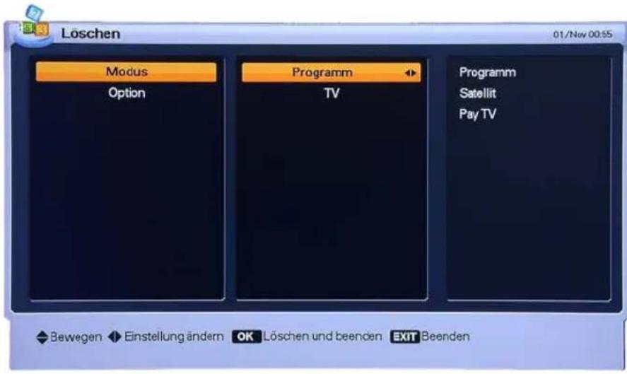 Homecast HS9000 CIPVR - Löschen - 1