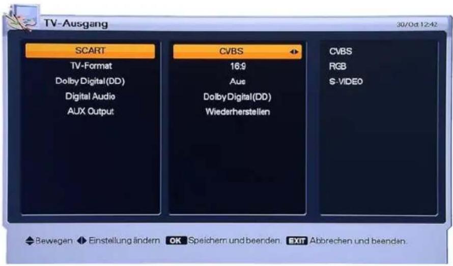 Homecast HS9000 CIPVR - TV-Ausgang - 1