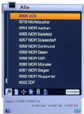 Homecast HS9000 CIPVR - Programme – „Anzeigen“ - 2