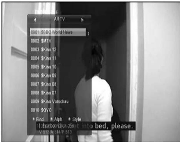 Dyon Viper HDTV DVB-S2 TWIN - Sender Liste - 1