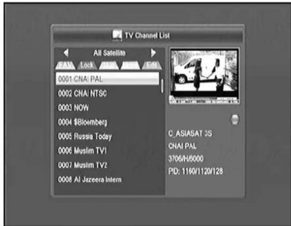 Dyon Viper HDTV DVB-S2 TWIN - Kanalbearbeitung - 1
