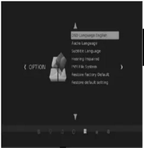 Dyon Phoenix - Optionen - 1