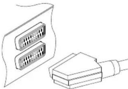 TOPFIELD TF 6600 T HDMI - Verwendung des SCART-Anschlusses - 1