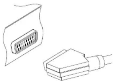 TOPFIELD TF 5000 Fe - Verwendung des SCART-Anschlusses - 1