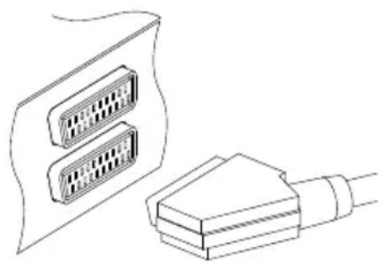 TOPFIELD SRP-2401CI Plus - Verwendung des SCART-Anschlusses - 1
