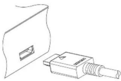 TOPFIELD SRP 2100 TMS - Verwendung des HDMI-Anschlusses - 1