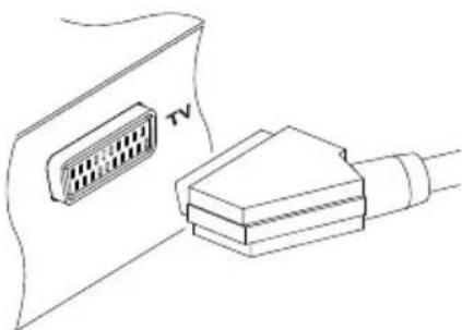 TOPFIELD SRP 2100 TMS - Verwendung des SCART-Anschlusses - 1