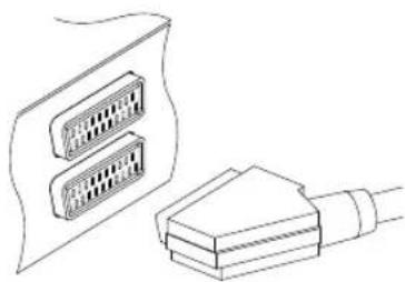 TOPFIELD SBF-5110 - Verwendung des SCART-Anschlusses - 1