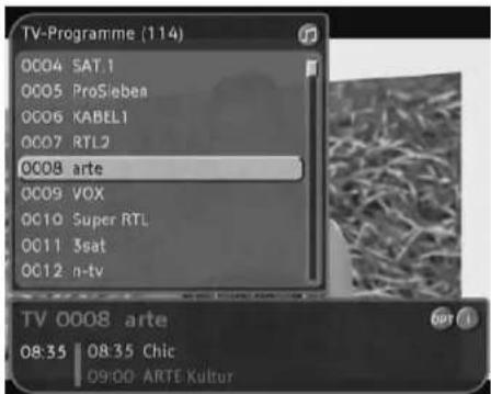 TechnoTrend TT ScartTV S100 - - Programmliste nutzen - 1