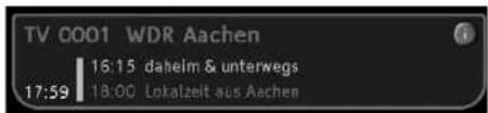 TechnoTrend TT ScartTV S100 - • Infobanner aufrufen - 1