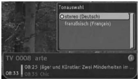 TechnoTrend TT ScartTV S100 - - Optionen nutzen - 2