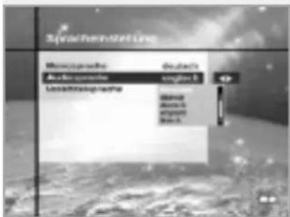 CityCom CCR 500 - Untertitelsprache - 2