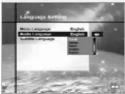 CityCom CCR 500 - Subtitle Language - 2