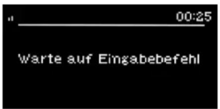 " 00:25 Warte auf Eingabebefehl