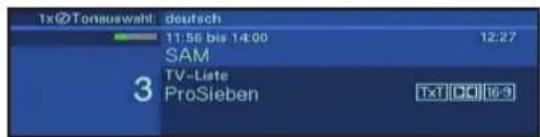 Telestar Teledigi 3 S plus - Uhr und Programminfo anzeigen - 1