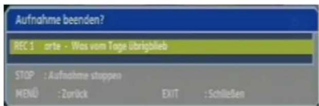 Comag PVR 2/100CI HD - Direktaufnahme - 3