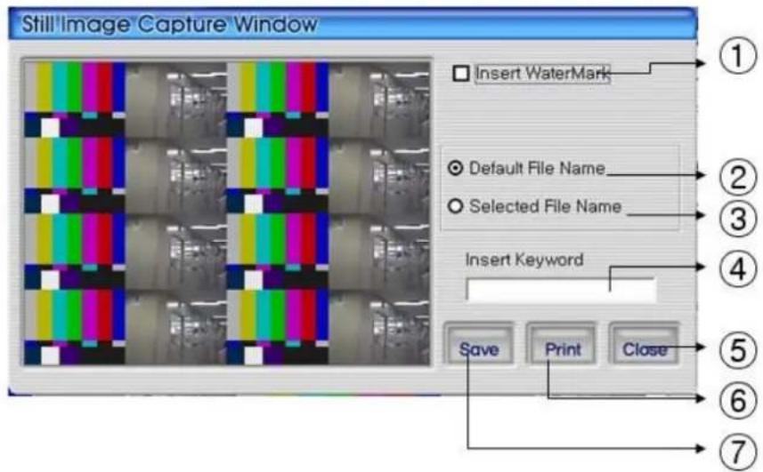 Monacor DMR-408 - Still Image Capture - 2