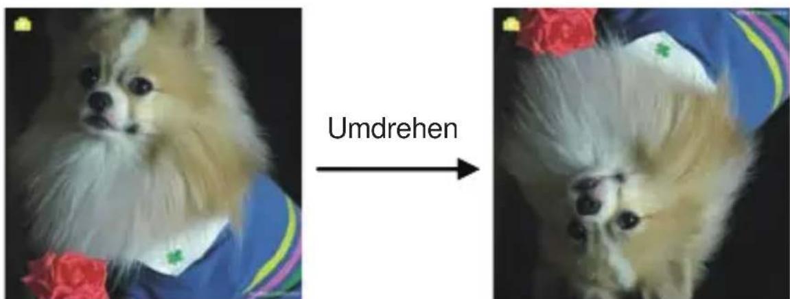 Jay-Tech PS970 - Aufnehmen: Spiegelbild/Umdrehen (Hard-Key) - 2