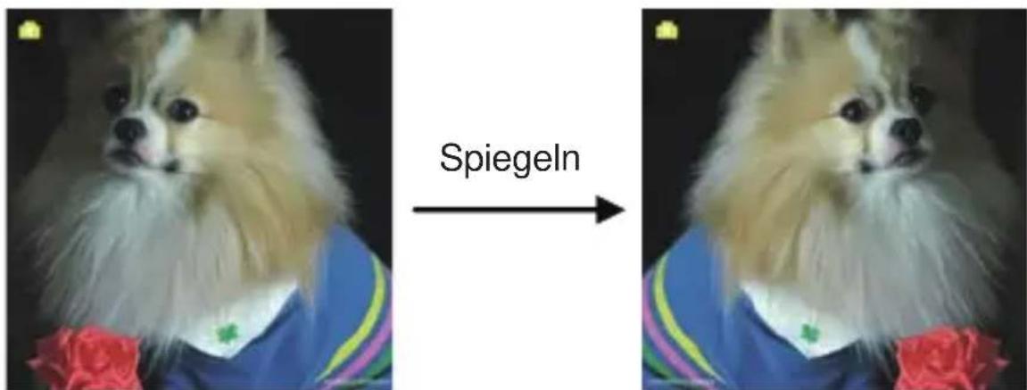 Jay-Tech PS970 - Aufnehmen: Spiegelbild/Umdrehen (Hard-Key) - 1