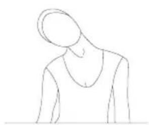 SportPlus SP-MR-008 - AUFWÄRMÜBUNGEN / STRETCHING / COOL-DOWN - 1
