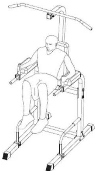 SportPlus SP-HG-013 - BEINHEBEN/BAUCHMUSKELN - 1