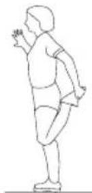 SportPlus SP-HG-013 - EXERCISE 4: STRETCHING THE HAMSTRINGS - 1