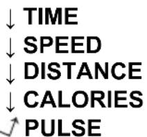 SportPlus SP-HT-2507-TS - Quick Overview - 1