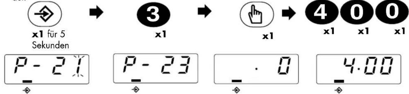 x1 für 5 Sekunden P - 21 - 3 x1 P - 23 - x1 4 x1 0 x1 0 x1 . - . 0 - 4.00