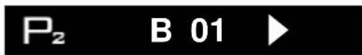 P₂ B 01 ▶