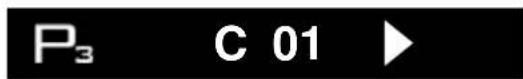 P₃ C 01 ▶