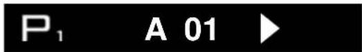 P₁ A 01 ▶