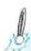 CDA VM600 - FOOD CLASSES (AUTO FUNCTIONS ONLY) - 4