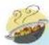 CDA VM600 - FOOD CLASSES (AUTO FUNCTIONS ONLY) - 1