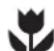 Zanussi-Electrolux ZWF 1420 W - Ecological hints - 1