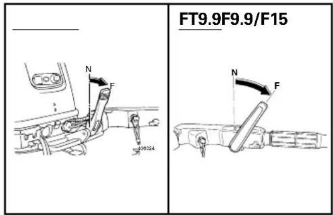 FT9.9F9.9/F15 N F 406024 N F