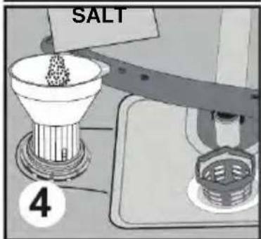 SALT 4